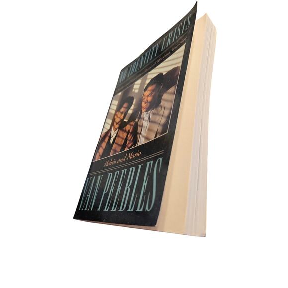 No identity crisis by Melvin and Mario Van Peebles 0671673580 fireside book - Picture 4 of 8
